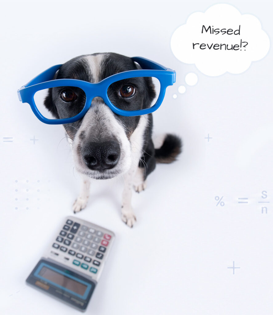 Dog with glasses and calculator